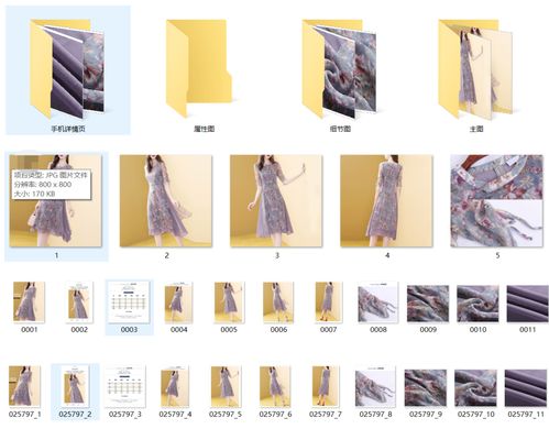 嗶哩嗶哩專欄 多元創作生態下的專業內容高地