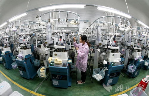 老區企業納米紡織品俏銷國內外，創新科技引領紡織新浪潮